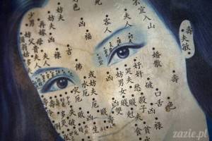 chińskie zioła, akupunktura i życiodajna energia chi