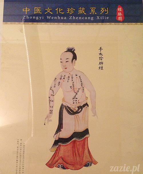 akupunktura_tradycyjna_medycyna_chinska_0e