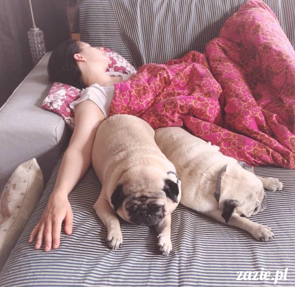 akupunktura, tradycyjna medycyna chińska, chińskie zioła, ziołelecznictwo, Klinika Mistrza Zhang, masaż leczniczy Tui Na, Qi Gong, shifu Zhang Feng Jun