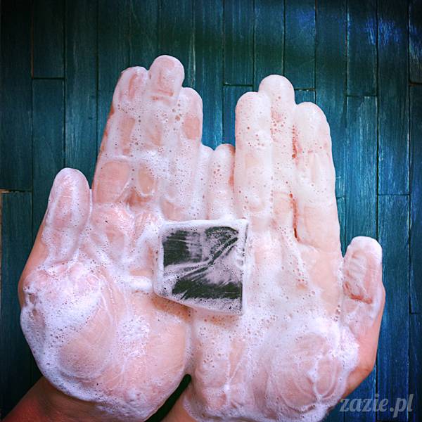 akupunktura, tradycyjna medycyna chińska, chińskie zioła, ziołolecznictwo, Klinika Mistrza Zhang, masaż leczniczy Tui Na, Qi Gong, shifu Zhang Feng Jun