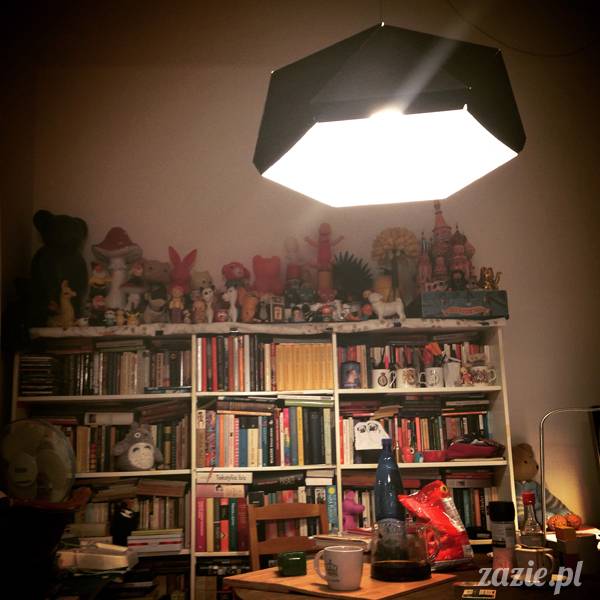 akupunktura, tradycyjna medycyna chińska, chińskie zioła, ziołolecznictwo, Klinika Mistrza Zhang, masaż leczniczy Tui Na, Qi Gong, shifu Zhang Feng Jun