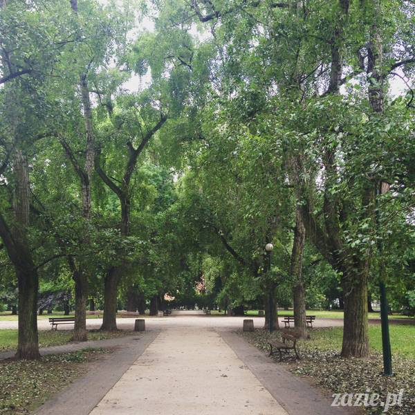 akupunktura, tradycyjna medycyna chińska, chińskie zioła, ziołolecznictwo, Klinika Mistrza Zhang, masaż leczniczy Tui Na, Qi Gong, shifu Zhang Feng Jun