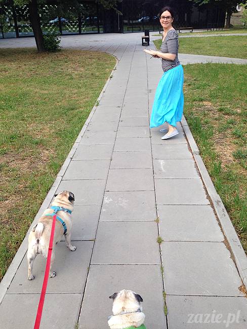 mopsikowe_lato_na_ochocie_kumok_miszur_02