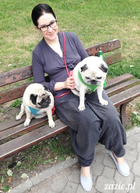 mopsikowe_lato_na_ochocie_kumok_miszur