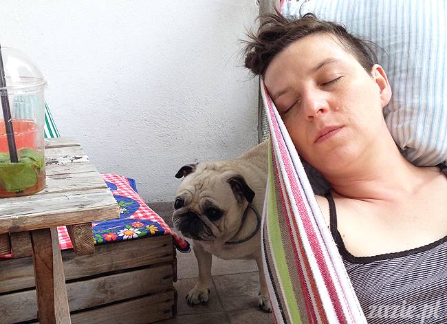 mopsikowe_lato_na_ochocie_kumok_miszur