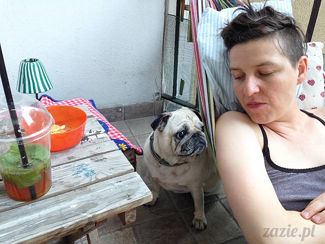 mopsikowe_lato_na_ochocie_kumok_miszur