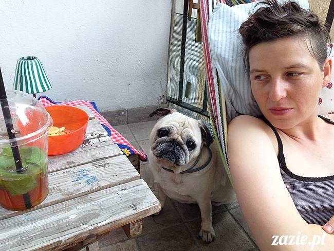 mopsikowe_lato_na_ochocie_kumok_miszur