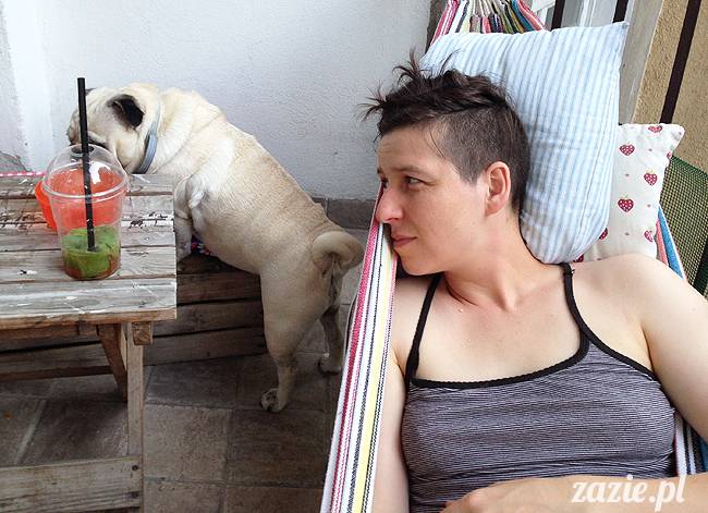 mopsikowe_lato_na_ochocie_kumok_miszur