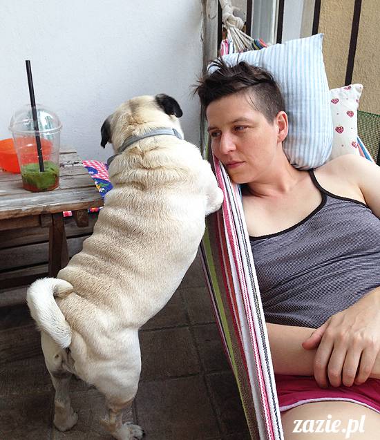 mopsikowe_lato_na_ochocie_kumok_miszur