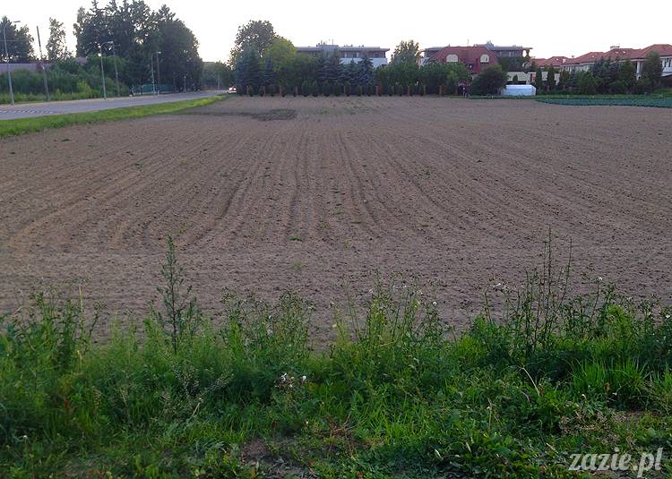 nadwiślańskie ognisko, ognisko nad Wisłą w Warszawie