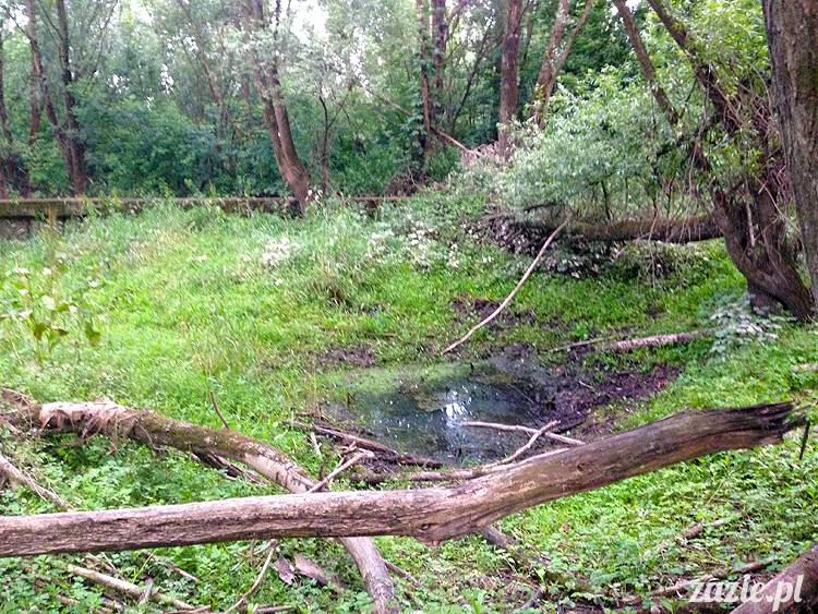 nadwiślańskie ognisko, ognisko nad Wisłą w Warszawie