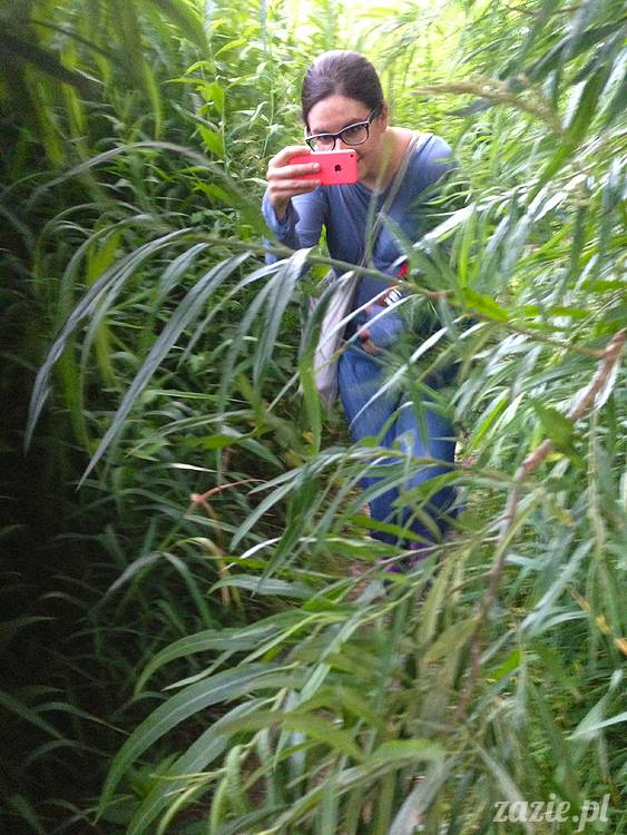 nadwiślańskie ognisko, ognisko nad Wisłą w Warszawie