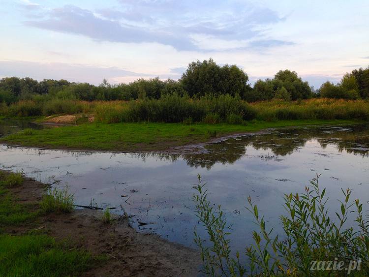 nadwiślańskie ognisko, ognisko nad Wisłą w Warszawie