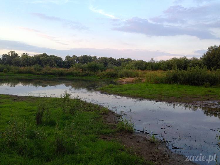 nadwiślańskie ognisko, ognisko nad Wisłą w Warszawie