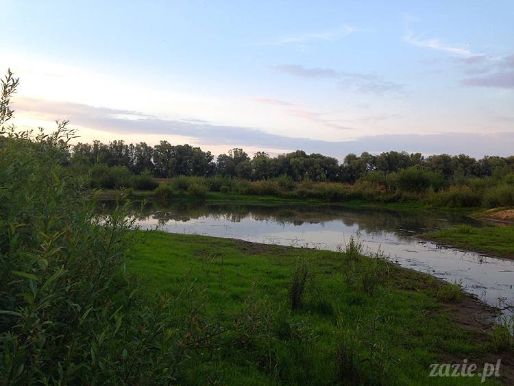 nadwiślańskie ognisko, ognisko nad Wisłą w Warszawie