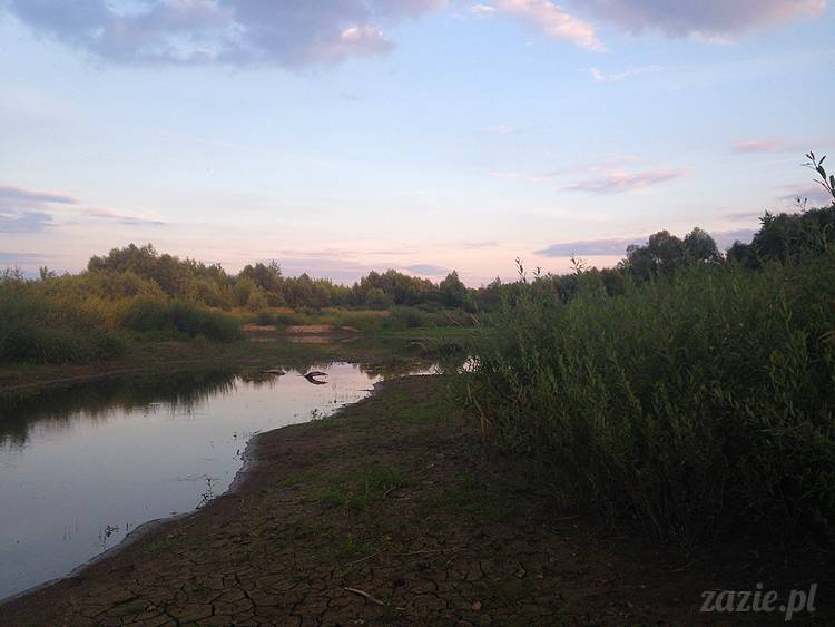 nadwiślańskie ognisko, ognisko nad Wisłą w Warszawie