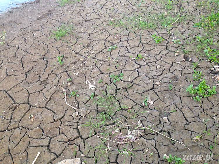 nadwiślańskie ognisko, ognisko nad Wisłą w Warszawie