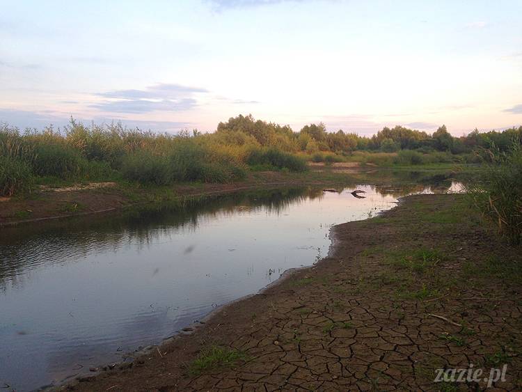 nadwiślańskie ognisko, ognisko nad Wisłą w Warszawie