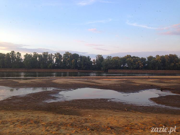nadwiślańskie ognisko, ognisko nad Wisłą w Warszawie