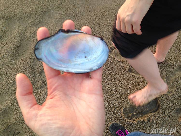 nadwiślańskie ognisko, ognisko nad Wisłą w Warszawie