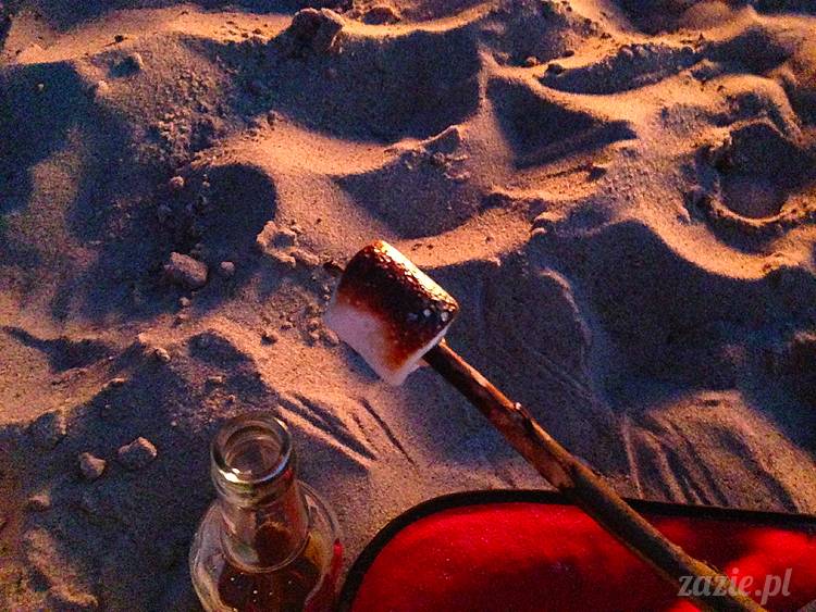 nadwiślańskie ognisko, ognisko nad Wisłą w Warszawie