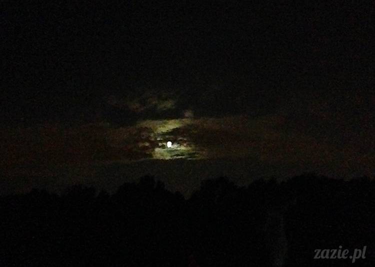 nadwiślańskie ognisko, ognisko nad Wisłą w Warszawie