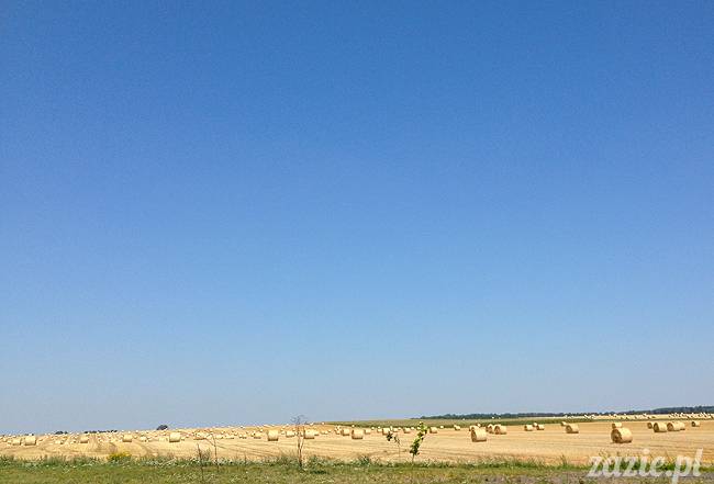 Waplewo, Maróz, obóz kung-fu i tai chi, Zazie Syd Kumok i Miszur