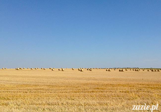Waplewo, Maróz, obóz kung-fu i tai chi, Zazie Syd Kumok i Miszur