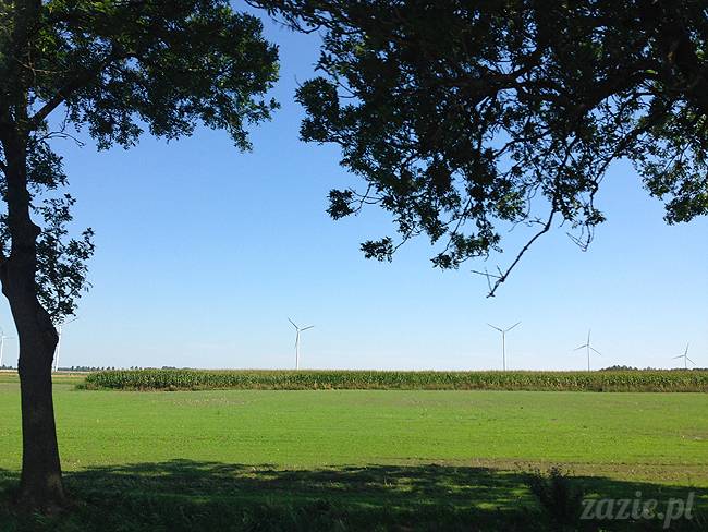 Waplewo, Maróz, obóz kung-fu i tai chi, Zazie Syd Kumok i Miszur