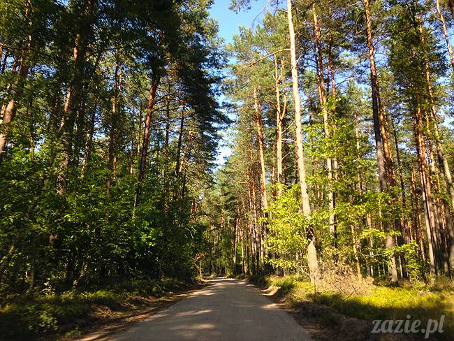 Waplewo, Maróz, obóz kung-fu i tai chi, Zazie Syd Kumok i Miszur