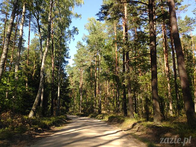 Waplewo, Maróz, obóz kung-fu i tai chi, Zazie Syd Kumok i Miszur