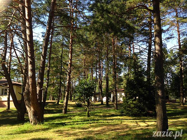 Waplewo, Maróz, obóz kung-fu i tai chi, Zazie Syd Kumok i Miszur