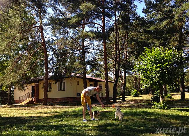 Waplewo, Maróz, obóz kung-fu i tai chi, Zazie Syd Kumok i Miszur