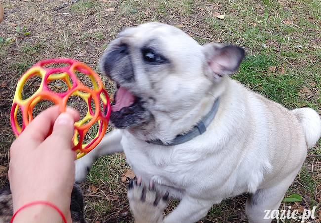 Waplewo, Maróz, obóz kung-fu i tai chi, Zazie Syd Kumok i Miszur