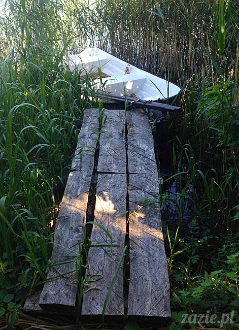 Waplewo, Maróz, obóz kung-fu i tai chi, Zazie Syd Kumok i Miszur