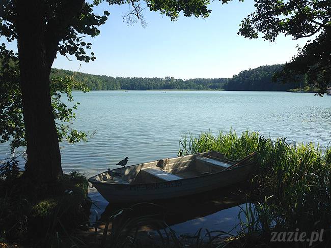 Waplewo, Maróz, obóz kung-fu i tai chi, Zazie Syd Kumok i Miszur