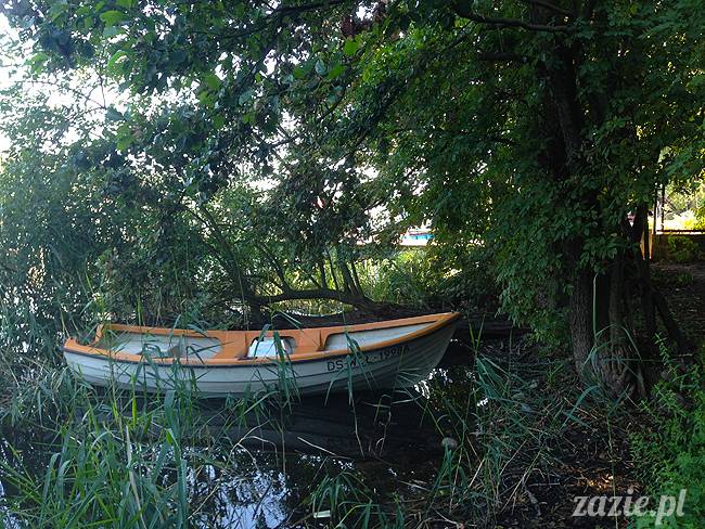Waplewo, Maróz, obóz kung-fu i tai chi, Zazie Syd Kumok i Miszur