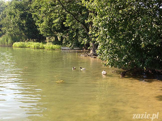 Waplewo, Maróz, obóz kung-fu i tai chi, Zazie Syd Kumok i Miszur