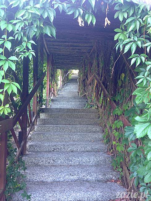 Waplewo, Maróz, obóz kung-fu i tai chi, Zazie Syd Kumok i Miszur