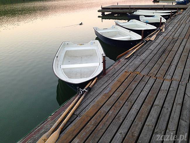 Waplewo, Maróz, obóz kung-fu i tai chi, Zazie Syd Kumok i Miszur