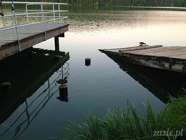 Waplewo, Maróz, obóz kung-fu i tai chi, Zazie Syd Kumok i Miszur