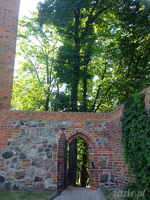 Waplewo, Maróz, obóz kung-fu i tai chi, Zazie Syd Kumok i Miszur