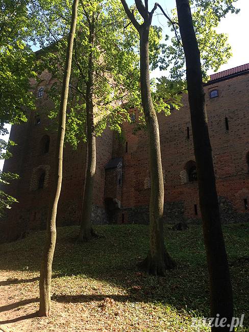 Waplewo, Maróz, obóz kung-fu i tai chi, Zazie Syd Kumok i Miszur