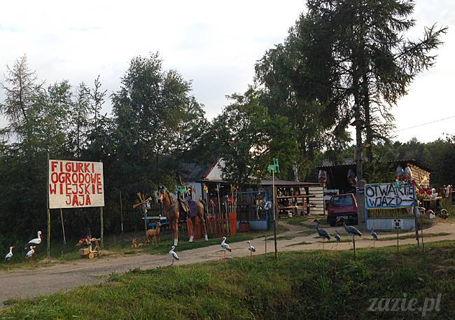 Waplewo, Maróz, obóz kung-fu i tai chi, Zazie Syd Kumok i Miszur