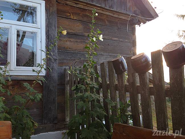 Waplewo, Maróz, obóz kung-fu i tai chi, Zazie Syd Kumok i Miszur