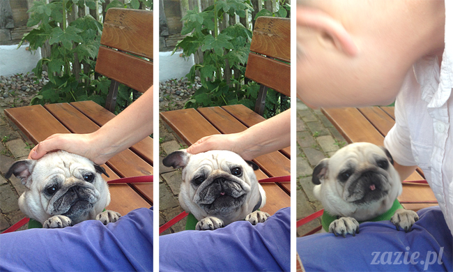 Waplewo, Maróz, obóz kung-fu i tai chi, Zazie Syd Kumok i Miszur