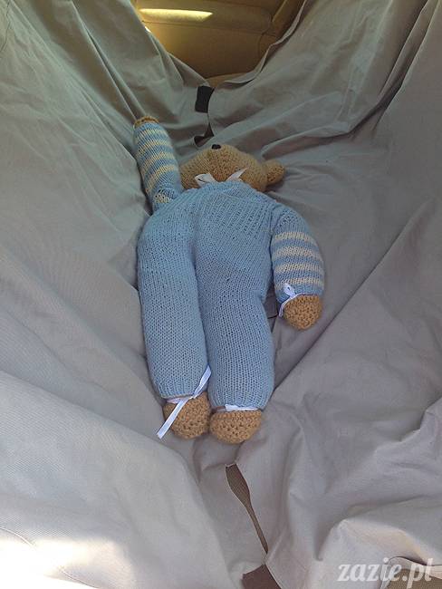 wakacje z mopsami, Wrocław, Zazie Syd Kumok Miszur lipiec 2015