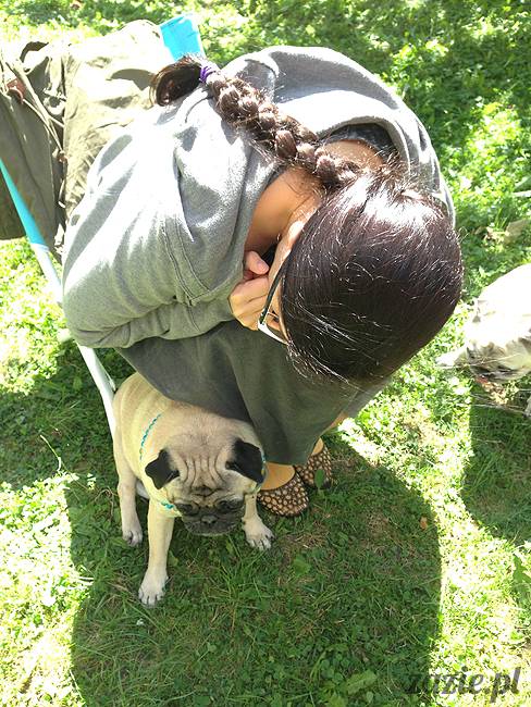 wakacje z mopsami, Wrocław, Zazie Syd Kumok Miszur lipiec 2015