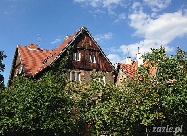 wakacje z mopsami, Wrocław, Zazie Syd Kumok Miszur lipiec 2015