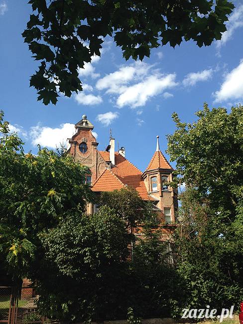 wakacje z mopsami, Wrocław, Zazie Syd Kumok Miszur lipiec 2015